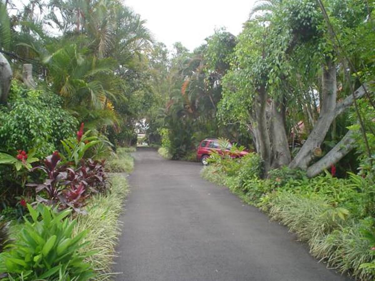 Hotel Villas Colibri Las Ciruelas  Ngoại thất bức ảnh